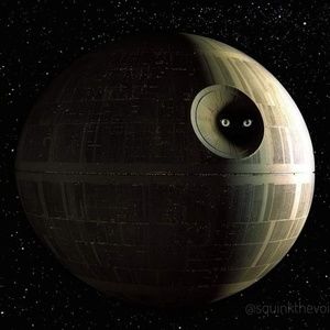 Meet your Posher, Levi